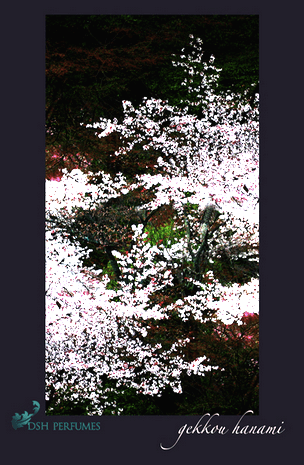 dsh gekkou hanami.png