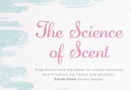 Screen Shot 2018-06-30 at 6.51.43 PM.png