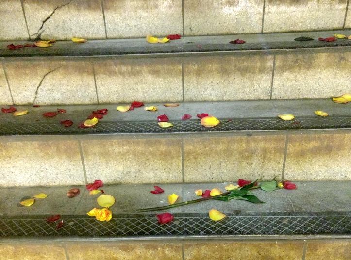 park place roses.jpg