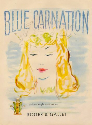 Blue Carnation